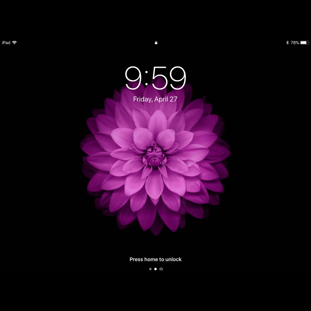 Meet your Posher, Shae